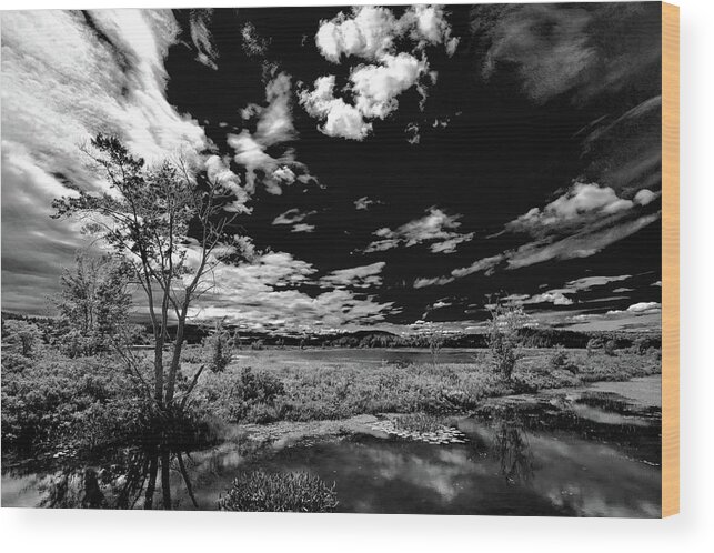 Landscape Wood Print featuring the photograph Reflections on Tupper Lake by David Patterson