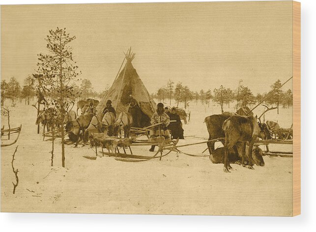 Russia Wood Print featuring the photograph Reindeer Camp in the Russian Subarctic by Pekka Sammallahti