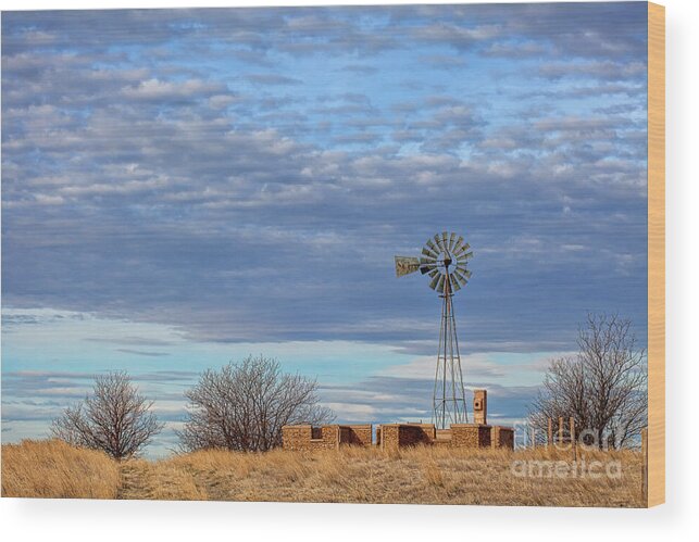 Windmill Landscape Wood Print featuring the photograph Remnants by Jim Garrison