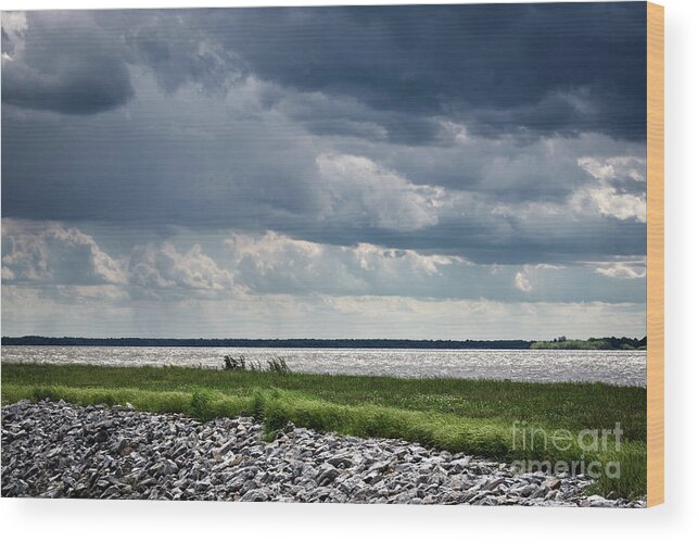 Rend Lake Wood Print featuring the photograph Rend Lake by Andrea Silies