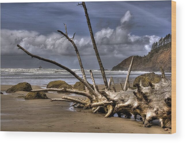 Hdr Wood Print featuring the photograph Resting by Brad Granger