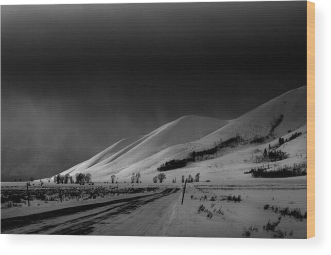 Jacskon Hole Wood Print featuring the photograph Returning from Gros Ventre by Alicia Frese Klenk