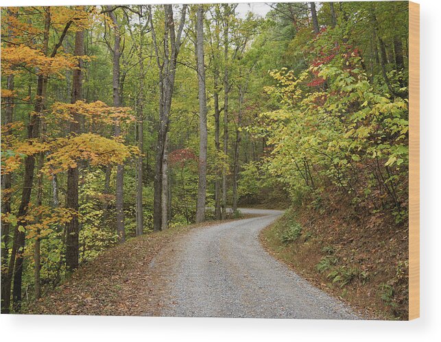 Tennessee Wood Print featuring the photograph Rich Mountain Road by Michele Burgess