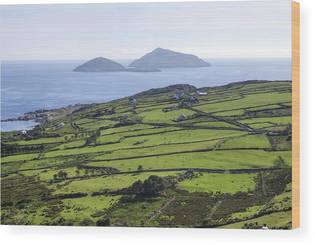 Scariff Island Wood Print featuring the photograph Ring of Kerry - Ireland by Joana Kruse