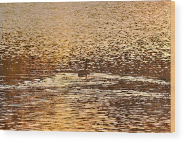 Ripples Wood Print featuring the photograph Copper by Karl Anderson