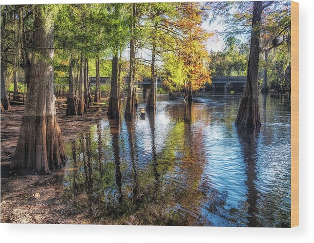 Withlacoochee River Wood Print featuring the photograph River Eeriness by Joseph Desiderio