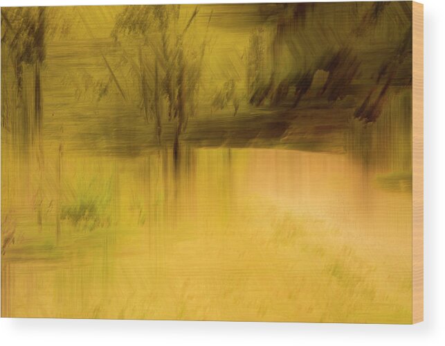River Wood Print featuring the photograph River Fork by Deborah Hughes