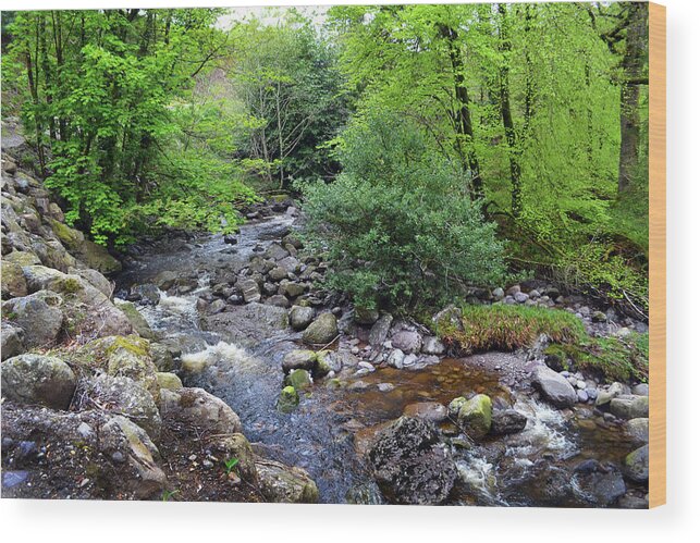 Rivers Wood Print featuring the photograph River Mahon Waterford Ireland..jpg by Terence Davis
