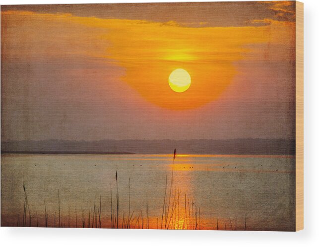 Sunset Wood Print featuring the photograph River of Light by Cathy Kovarik