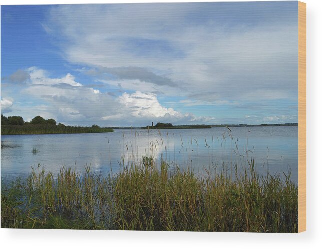 Ireland Wood Print featuring the photograph River Shannon At Hodson Bay. by Terence Davis