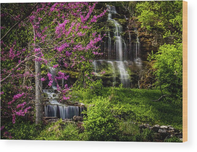 Water Wood Print featuring the photograph Rivercut Waterfall by Allin Sorenson