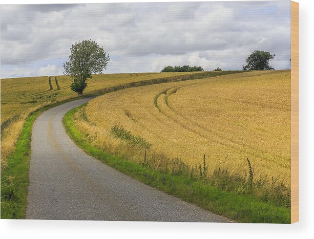  Road Wood Print featuring the photograph Road by Elmer Jensen