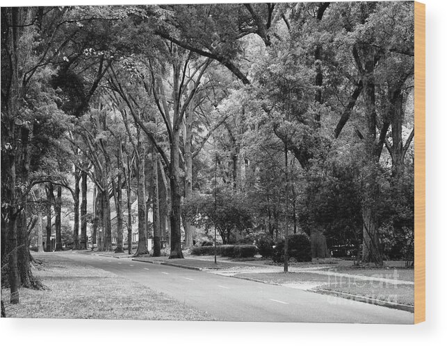 Queens Road West Wood Print featuring the photograph Road in Black and White by Jill Lang