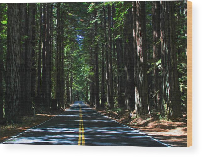 Bonnie Follett Wood Print featuring the photograph Road to Mendocino by Bonnie Follett