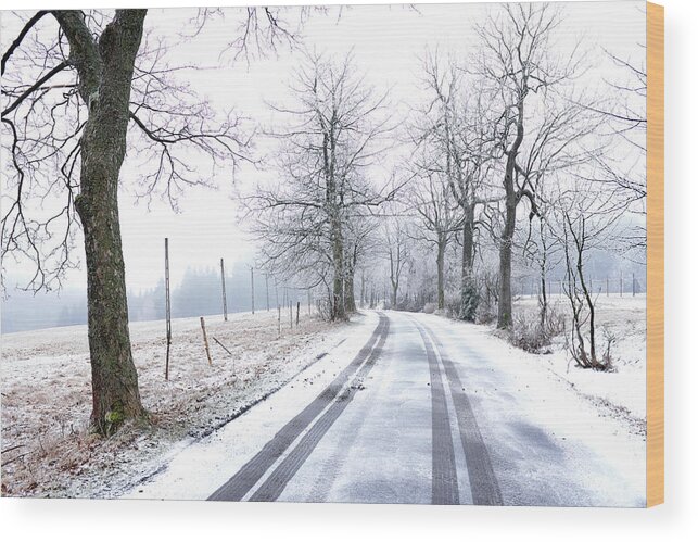 Winter Wood Print featuring the photograph Road To Nowhere by Dubi Roman