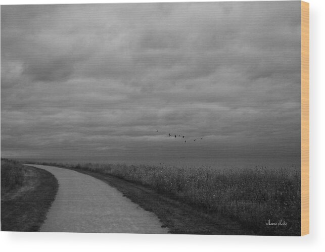 Road Wood Print featuring the photograph Road To The Left Black and White by Marko Mitic