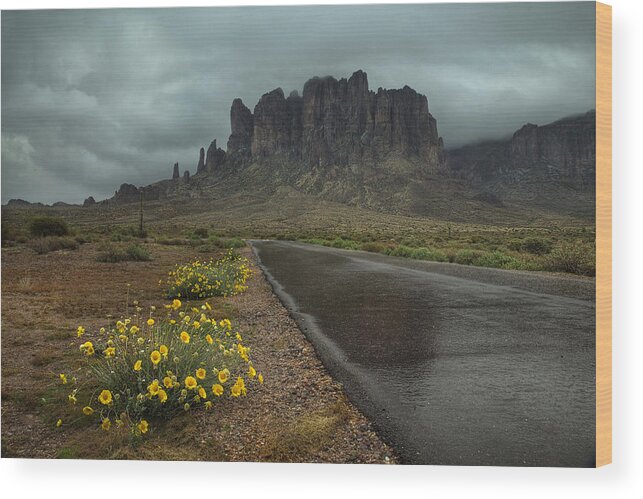 Superstitions Wood Print featuring the photograph Road to the Superstitions by Sue Cullumber