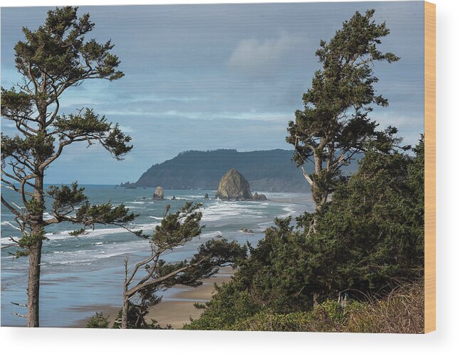 Coast Wood Print featuring the photograph Roadside View by Robert Potts