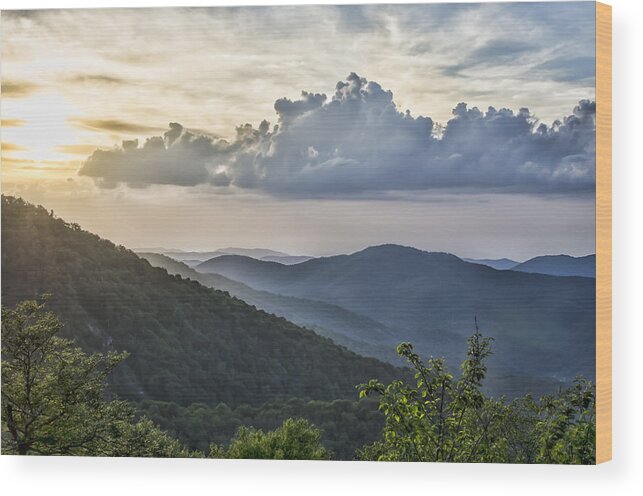 Roan Mountain Wood Print featuring the photograph Roan Mountain Vista by Heather Applegate