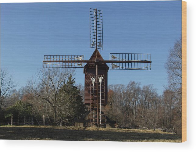 2015 Wood Print featuring the photograph Robertsons Windmill by Teresa Mucha