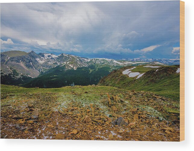 Alpine Wood Print featuring the photograph Rock Cut Overlook from Trail Ridge Road, Rocky Mountain National Park, Colorado by Tom Potter