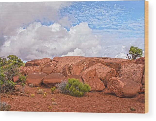 Canyonlands National Park Wood Print featuring the photograph Rock Garden In The Sky by Angelo Marcialis