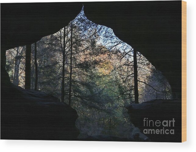 Nature Wood Print featuring the photograph Rock House by Douglas Sacha