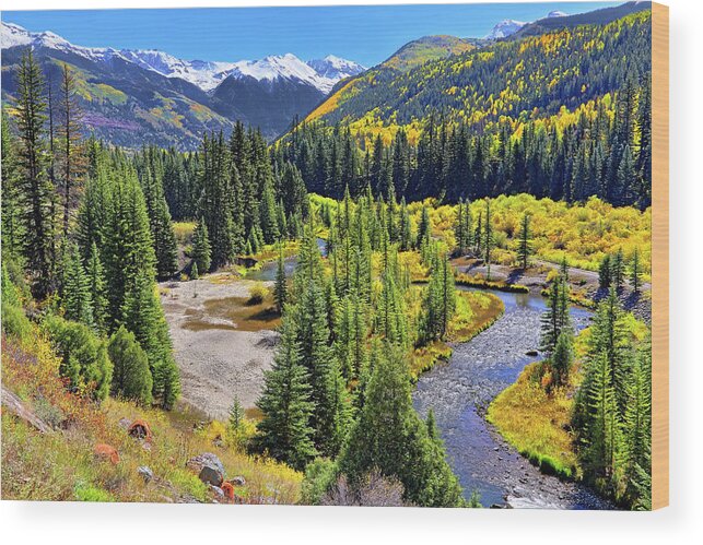 Colorado Wood Print featuring the photograph Rockies and Aspens - Colorful Colorado - Telluride by Jason Politte