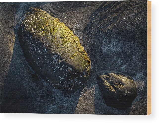 Landscape Wood Print featuring the photograph Rocks from Talisker Beach 1 by Davorin Mance