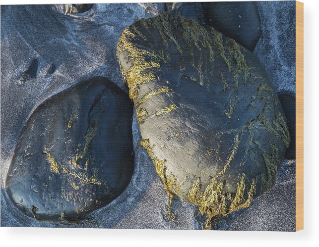 Landscape Wood Print featuring the photograph Rocks from Talisker Beach 2 by Davorin Mance