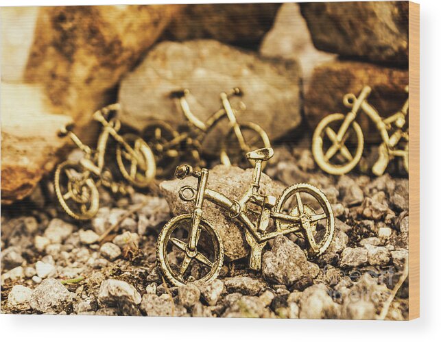 Bike Wood Print featuring the photograph Rocky cape bicycles by Jorgo Photography