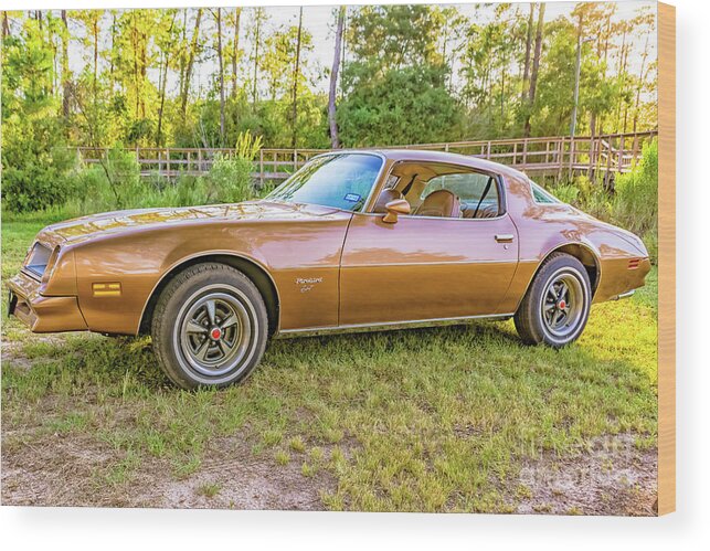 1976 Firebird Wood Print featuring the photograph Rocky drive by Brian Wright