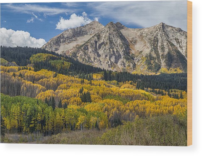 Scenic Wood Print featuring the photograph Rocky Mountain Autumn Season Colors by James BO Insogna