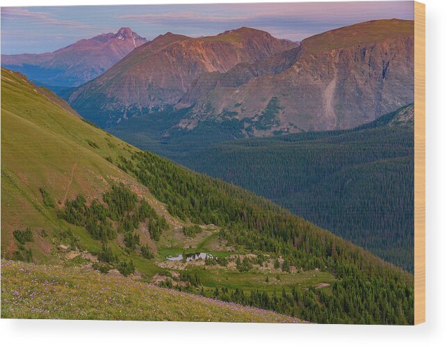 Rocky Mountain National Park Wood Print featuring the photograph Rocky Mountain Wilderness by Darren White