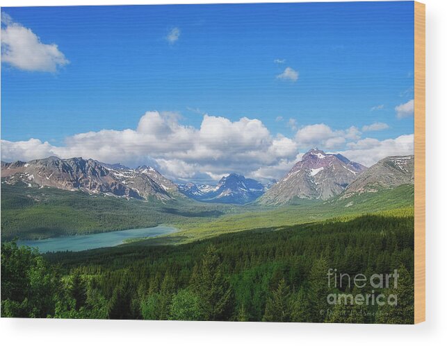 Mountains Wood Print featuring the photograph Rocky Mountains near Waterton Canada by David Arment