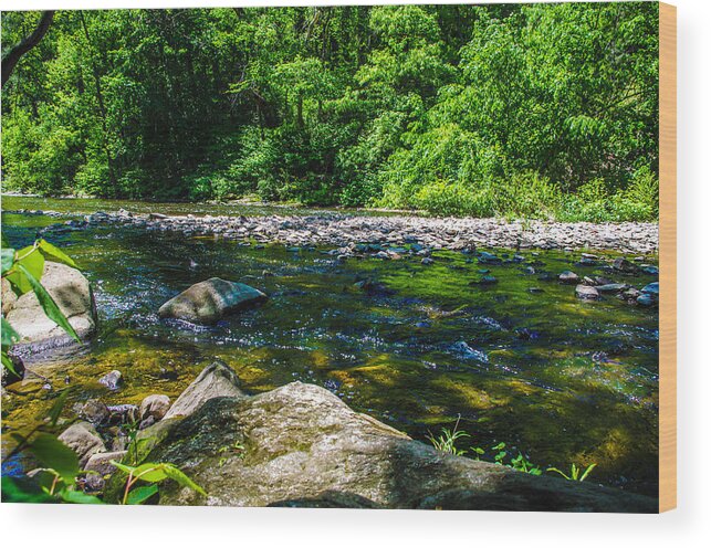 Nature Wood Print featuring the photograph Rocky Stream by Gerald Kloss