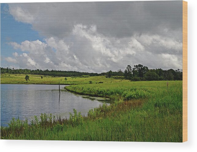 Water Wood Print featuring the photograph Rollin' In by Linda Brown