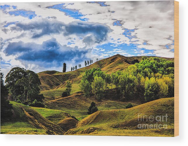 New Zealand Landscapes Wood Print featuring the photograph Rolling Hills by Rick Bragan