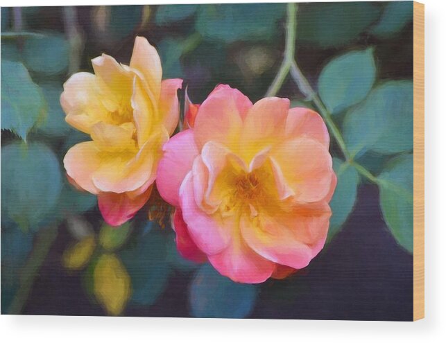 Floral Wood Print featuring the photograph Rose 345 by Pamela Cooper