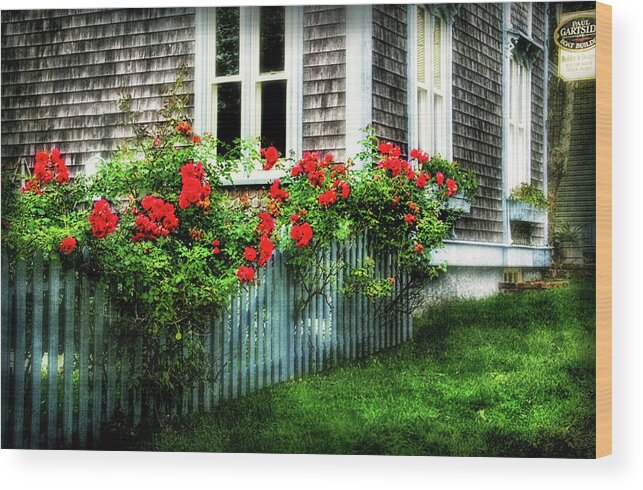 Rose-covered Fence In Historic Selburne Ns Wood Print featuring the photograph Rose-covered Fence in Shelburne NS by Carolyn Derstine