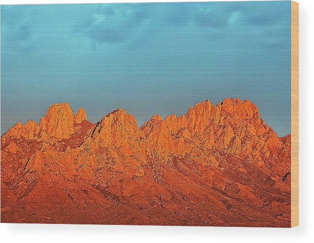 Organ Mountains Wood Print featuring the photograph Rose Mountains by Mike Stephens