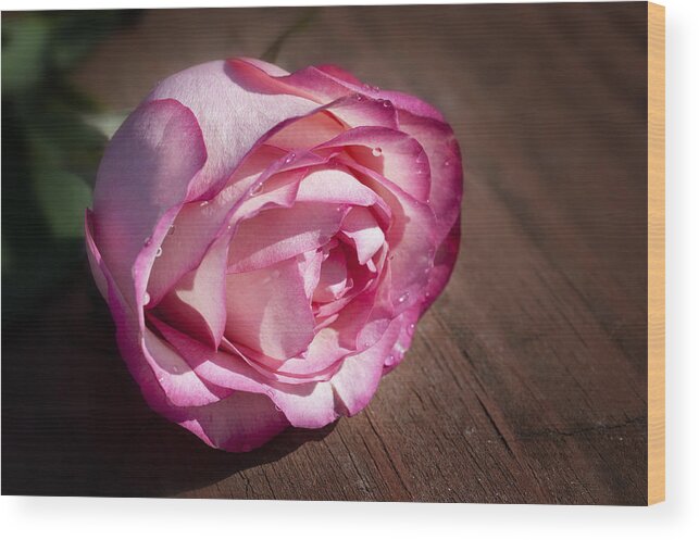 Rose Wood Print featuring the digital art Rose On Wood by Dick Pratt