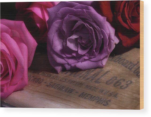 Roses Wood Print featuring the photograph Rose Series 2 by Mike Eingle