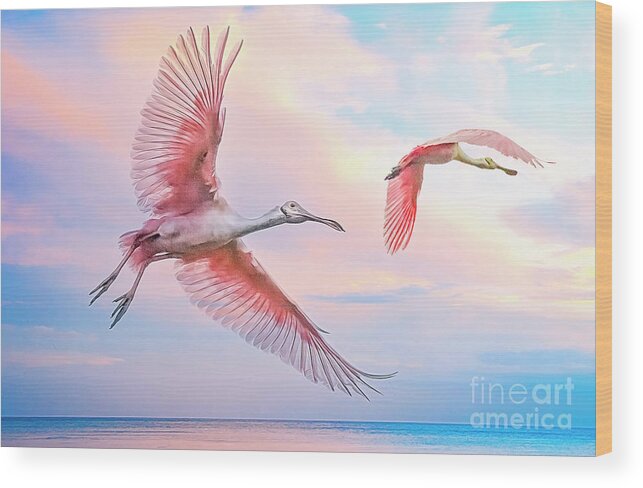 Roseate Spoonbill Wood Print featuring the photograph Roseate Spoonbills in flight. by Brian Tarr