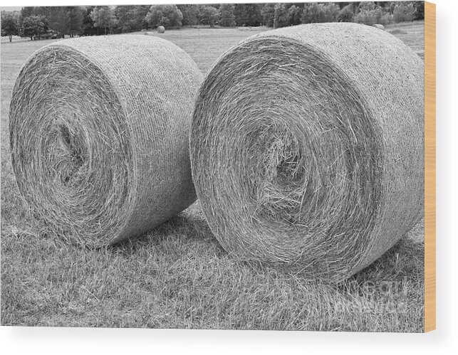 Hay Wood Print featuring the photograph Round Hay Bales Black and White by James BO Insogna