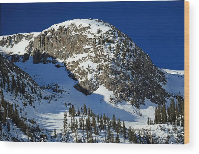 Landscape Wood Print featuring the photograph Rounded Mountain by Mary Haber