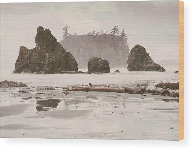 Photography Wood Print featuring the photograph Ruby Beach No. 15 by Desmond Manny