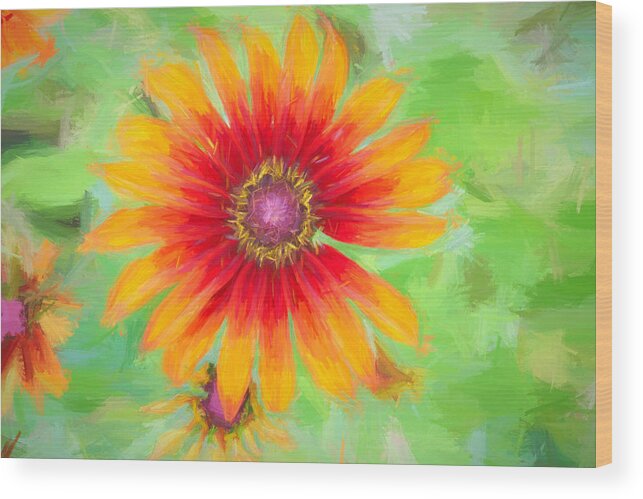 Flower Wood Print featuring the photograph Rudbeckia by Kathy Bassett