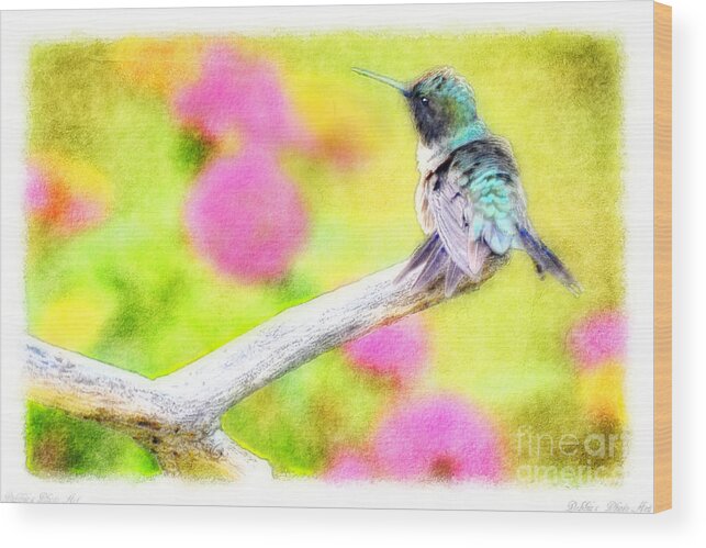 Nature Wood Print featuring the photograph Ruffled Hummingbird - Digital Paint 3 by Debbie Portwood