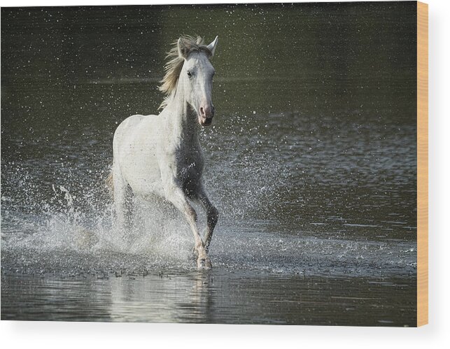 Wild Horse Wood Print featuring the photograph Running Wild and Free Forever by Saija Lehtonen